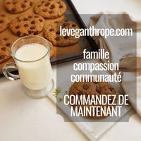 Visit our website to order at Le Veganthrope in Montreal