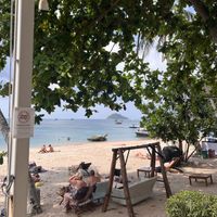   at Breeze in Koh Tao