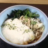 Cold vegan bukkake tororo soba at Takaosan Sumika in Hachioji