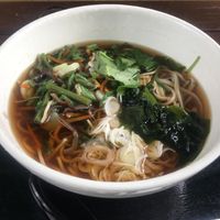 Hot vegan sansai soba at Takaosan Sumika in Hachioji
