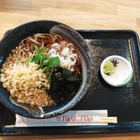 cold tanuki soba. I believe it was the small size. 900¥ if my memory 's good at Takaosan Sumika in Hachioji