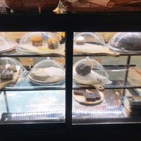 So many cakes and half of it was sold out!!  at Vegan & Beyond in Seoul