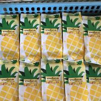 Pineapple snacks   at Vegetarian Food by Somjan in Lampang