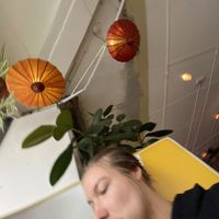   at Mystic Kitchen in Wellington