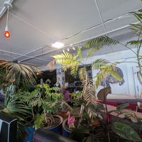 Inside at Mystic Kitchen in Wellington