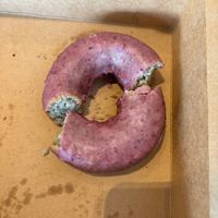 Blueberry donut at Pandamonium Doughnuts in Champaign