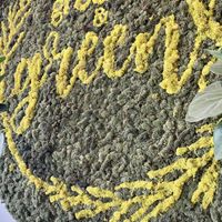 Quaint and calm  at Grounds & Greens Cafe in White Rock