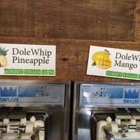 Vegan options for yogurt section at Froglanders in Carlsbad