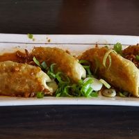 Potstickers at Chi in Vancouver