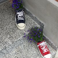 Entry  at Weltladen FairOst in Stuttgart