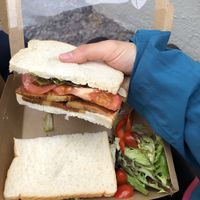 V-BLT  at Plant & Planet in Castleton