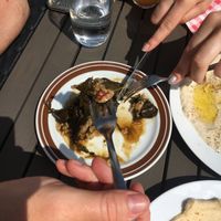 wine leaf roles  at Meet and Eat in Beeskow