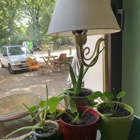 Lovely interior  at Vamos Veganos in Berlin