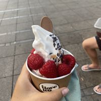Vegan Coconut Yogurt w Chocolate shavings, hazelnut, and raspberries   at I Love Leo in Stuttgart
