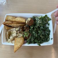 Falafel plate with kale, hummus, and pita bread   at Vessel Kitchen in Salt Lake City