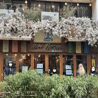 Front   at Neko Ramen in Paris