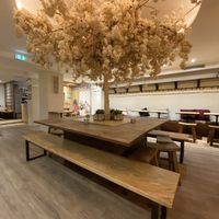 The top floor  at Neko Ramen in Paris