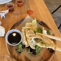 Dumplings 10/10  at freshroll in Mashpee