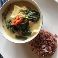 Vegan green Thai curry with tofu and eggplant at Shanti Lodge Restaurant in Phuket