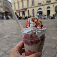 Strawberry sorbet and vanilla ice cream with vegan chantilly at Jolly Chocolat in Bordeaux