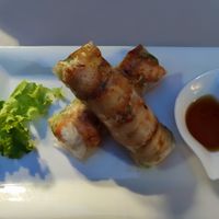 Starter at Vevi in Vienna