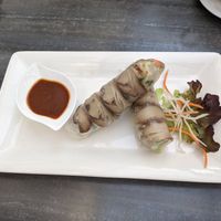 Seitan summer rolls at Vevi in Vienna