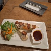 Fresh spring rolls with tofu at Vevi in Vienna