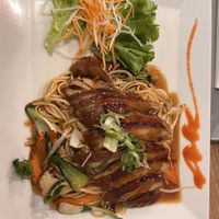 V46 Mi Xao  at Vevi in Vienna