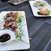 vegan sushi and summer rolls at Vevi in Vienna