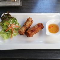 V14. CHA GIO at Vevi in Vienna