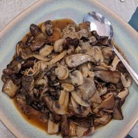 Mushroom forest at The Vegetable Garden in Silver Spring