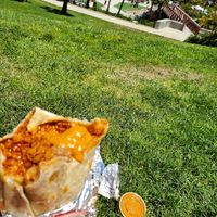 Soyrizo burrito, extra onions at Papalote in San Francisco