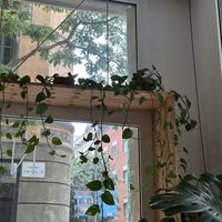   at NEØ Coffee House in Barcelona