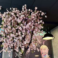 inside  at Wonder Waffel in Muenster