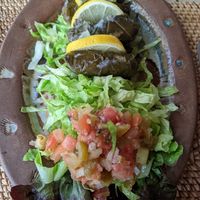 Warakarish. Hojas de parras rellenas de arroz especiado y ensalada marroquí at El Jardin del Califa in Vejer De La Frontera
