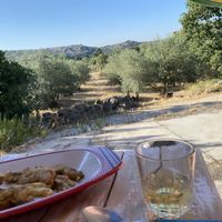 View from accommodation terrace  at La Rosina Ecovillage in Las Huertas De Cansa