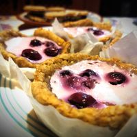 Yoghurt and wild berries tartelet at La Rosina Ecovillage in Las Huertas De Cansa
