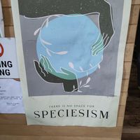 Start selling them again please at VeZa in Belgrade