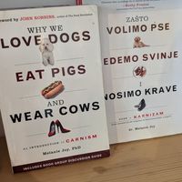 A few of the books inside at VeZa in Belgrade