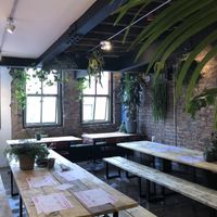 Locally sourced plant life decorates both floors  at Döner Summer in Leeds