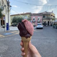 Vegan chocolate and figs🍦 at Sottozero Di Ardini Luca in Pula