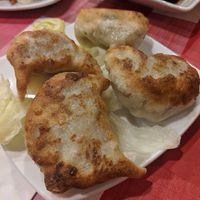 Pan fried dumplings at Yuan Fu in Rockville