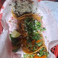  at SoyMexican in Las Vegas