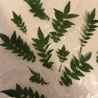 Kinome  at Gosha Nagashima Studiogosha of Fine Art in Beelitz-heilstaetten