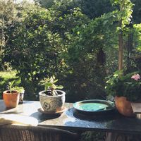 Gosha’s garden 💚 at Gosha Nagashima Studiogosha of Fine Art in Beelitz-heilstaetten