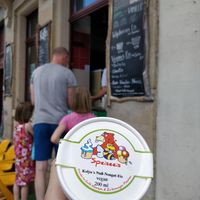 A cup with vegan ice cream at Café Komisch in Dresden