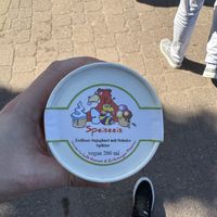 Vegan strawberry yoghurt ice cream.  at Café Komisch in Dresden