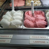 Vegan choices at Gelateria Il Gelatiere in Alba