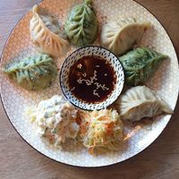 Dumplings at Veganaa in Berlin