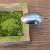 Matcha and chia pudding. at Mori Cafe in Paris